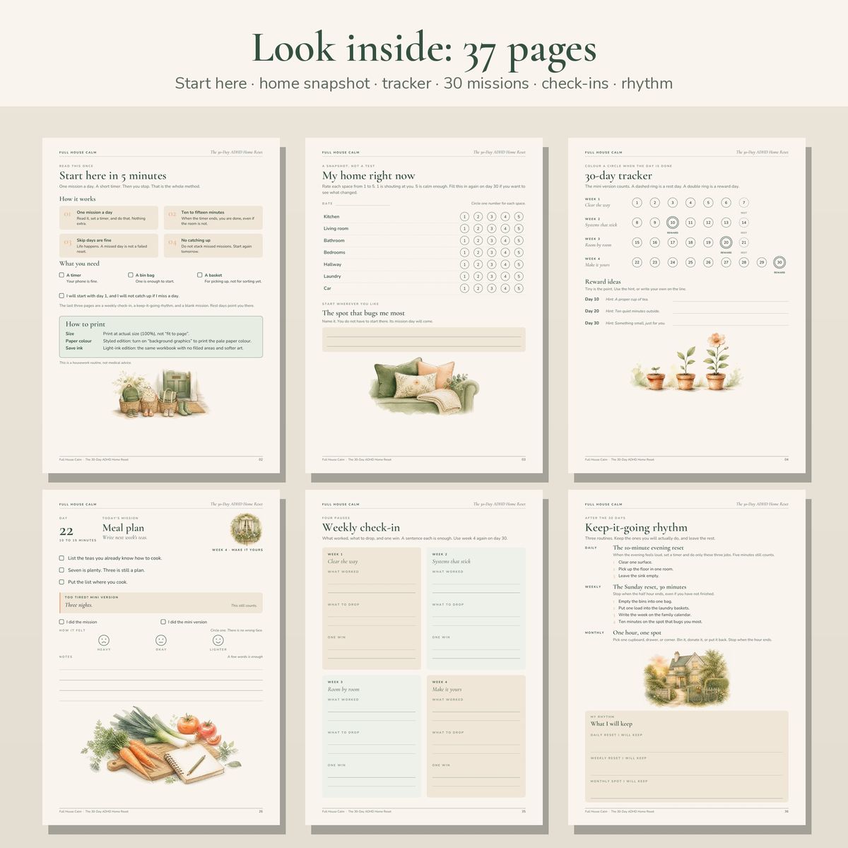 A selection of inside pages